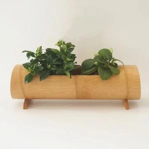 Moda qasab naturali tal-pjanti tal-fjuri Pot