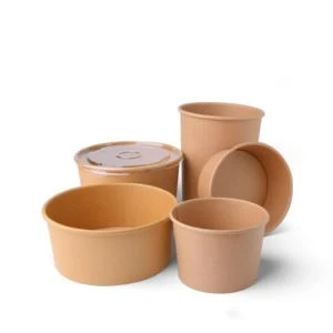 Bowl Paper Kkompostabbli